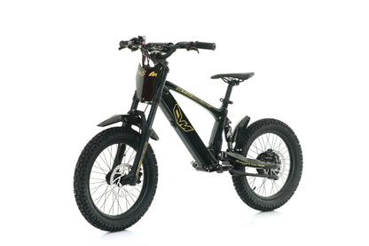 CVM Evo Racing 20